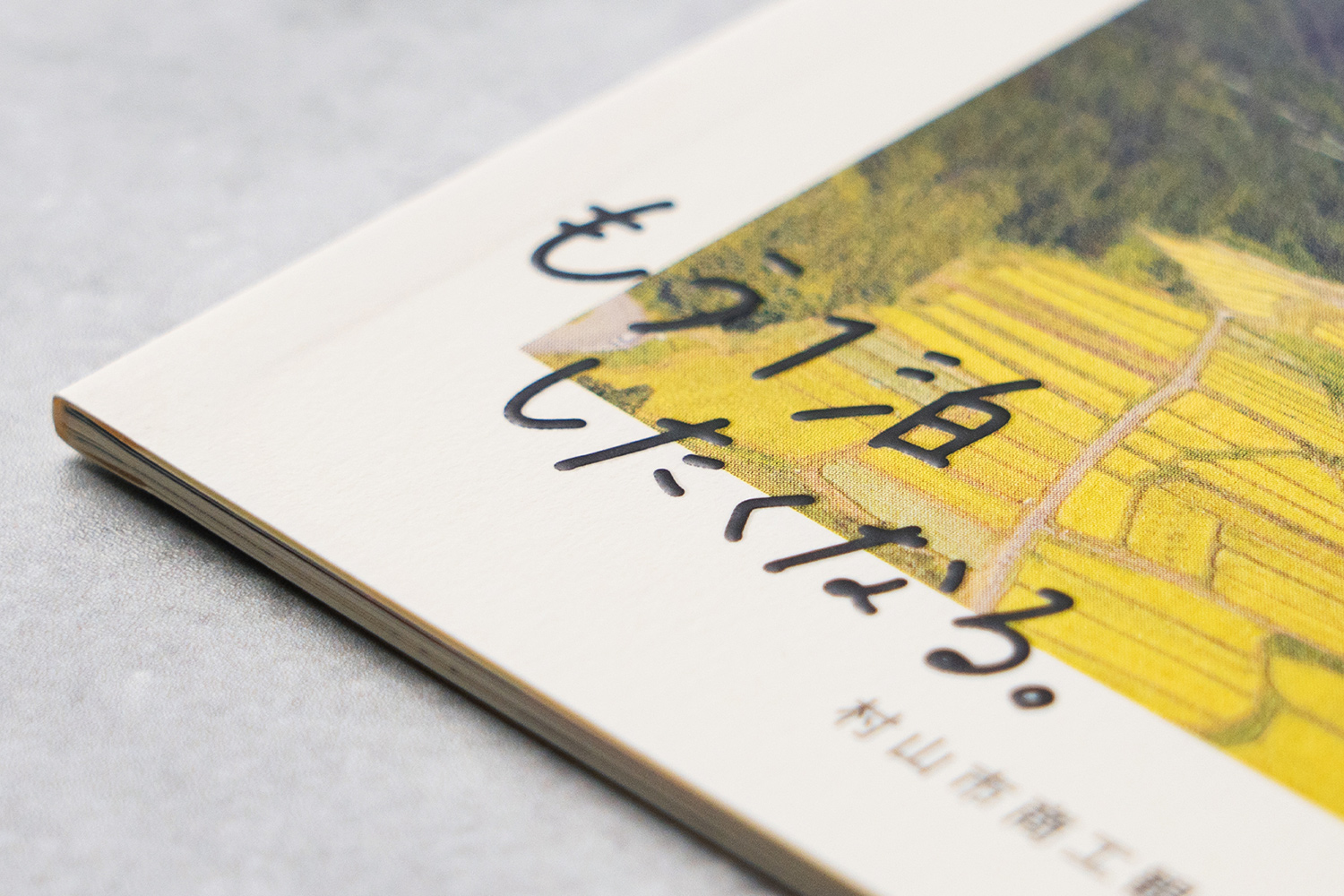 株式会社ローカルブライト | WORKS 村山市 旅の手引き